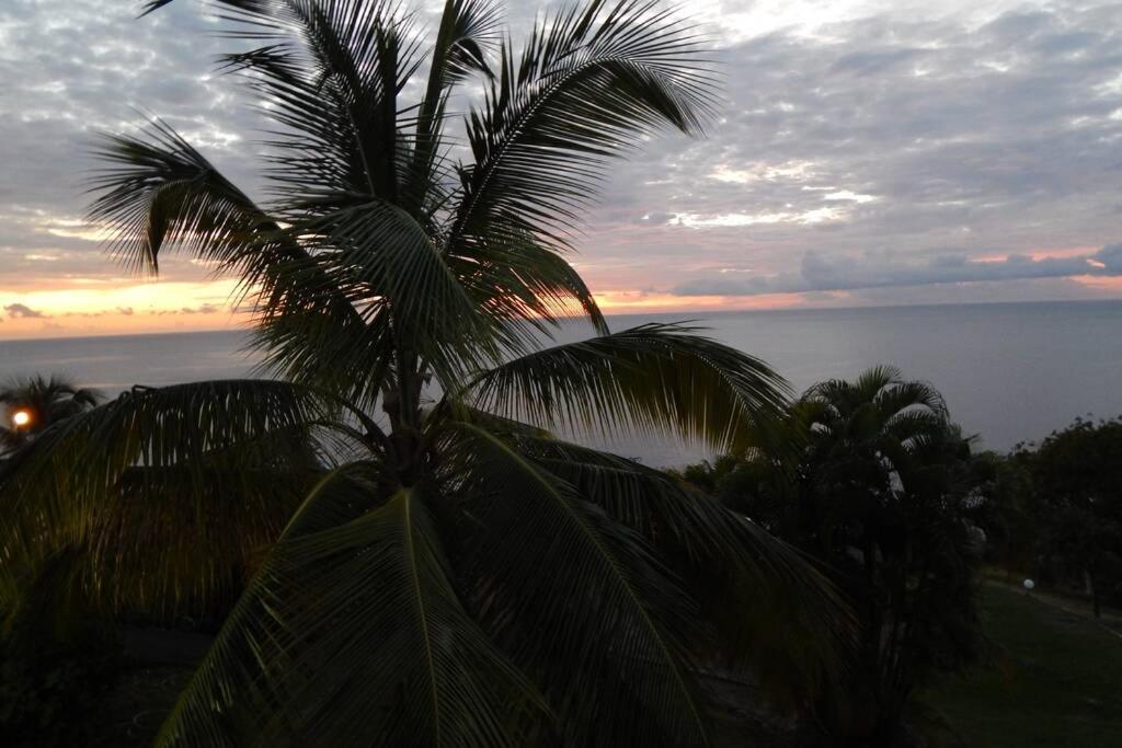 Le Morne Charlotte Villa Le Carbet Exteriör bild